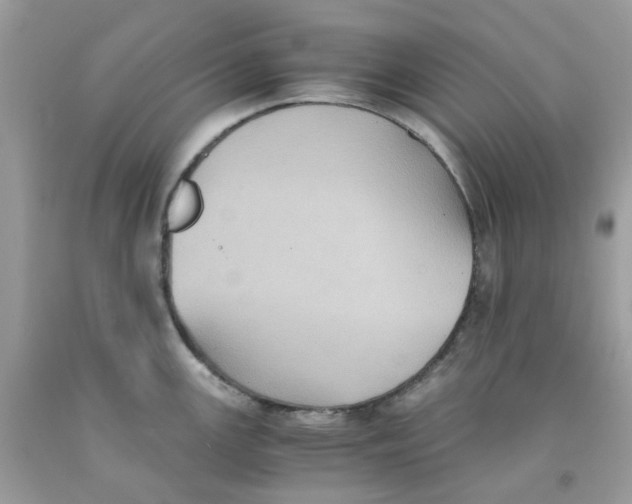 X0000091541147200709141451