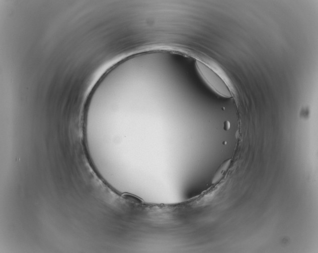 X0000091541148200709141451