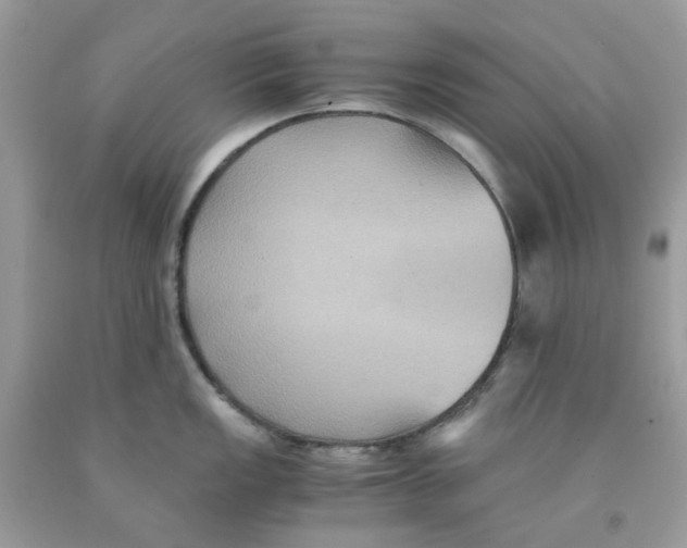 X0000091541149200709141451