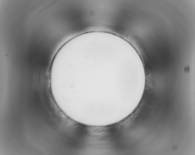 X0000091541150200709141451