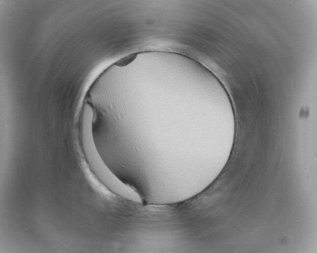 X0000091541152200709141451