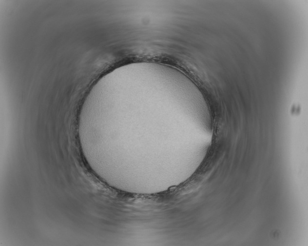 X0000091541153200709141450