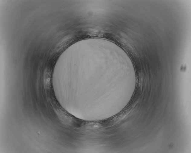 X0000091541154200709141450