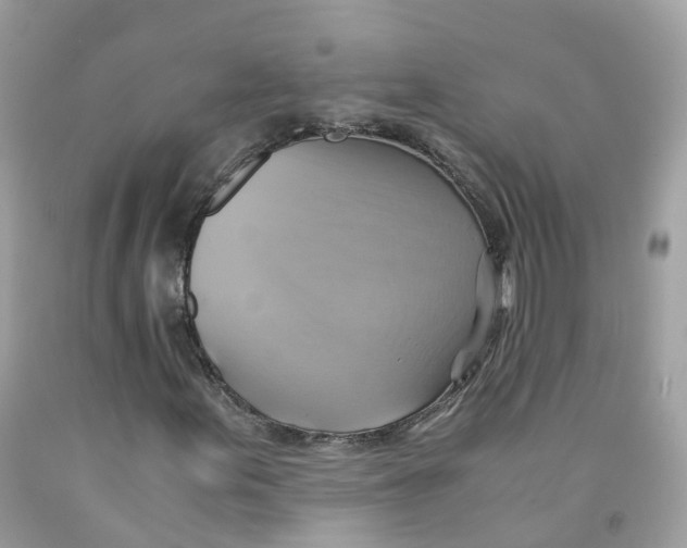 X0000091541155200709141450