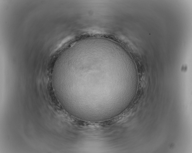 X0000091541157200709141450