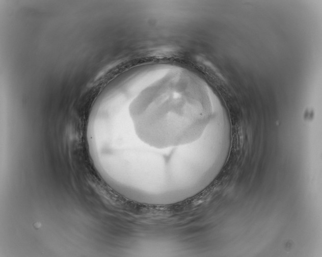 X0000091541158200709141450