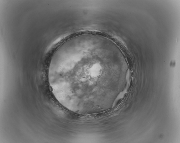 X0000091541159200709141450