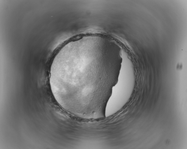 X0000091541160200709141450