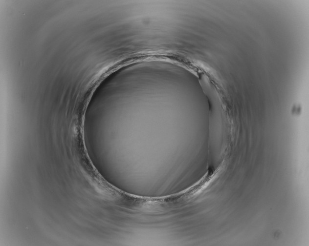 X0000091541161200709141450