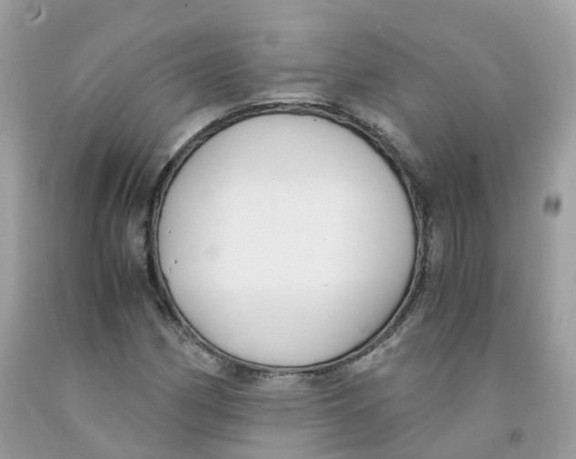 X0000091541162200709141450