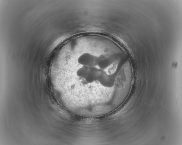 X0000091541163200709141450