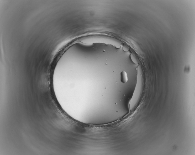 X0000091541164200709141450