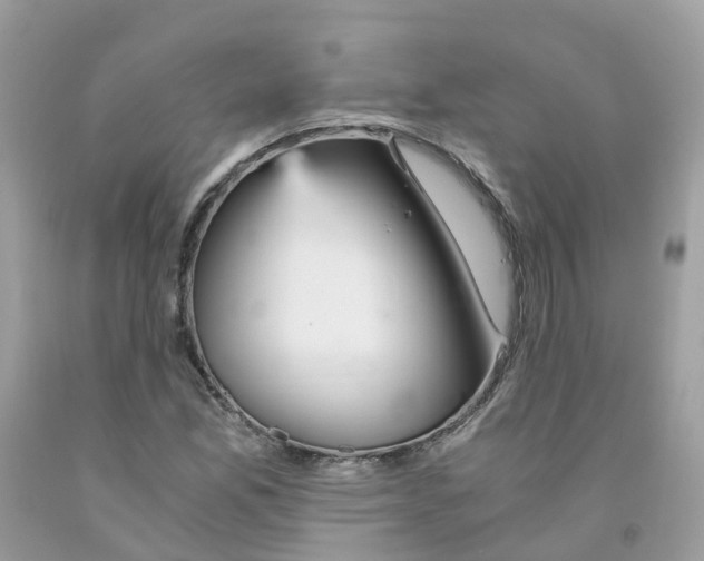 X0000091541165200709141450