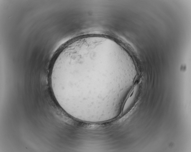 X0000091541166200709141450