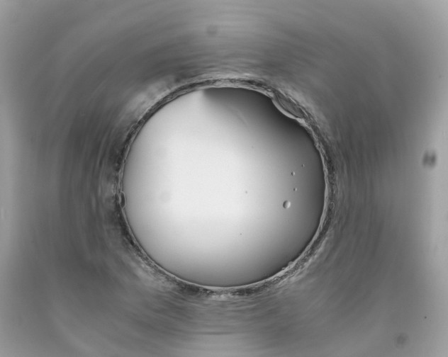 X0000091541169200709141450