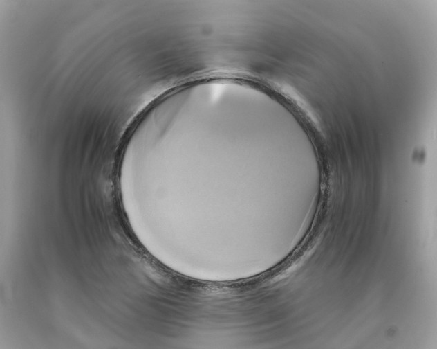 X0000091541170200709141450