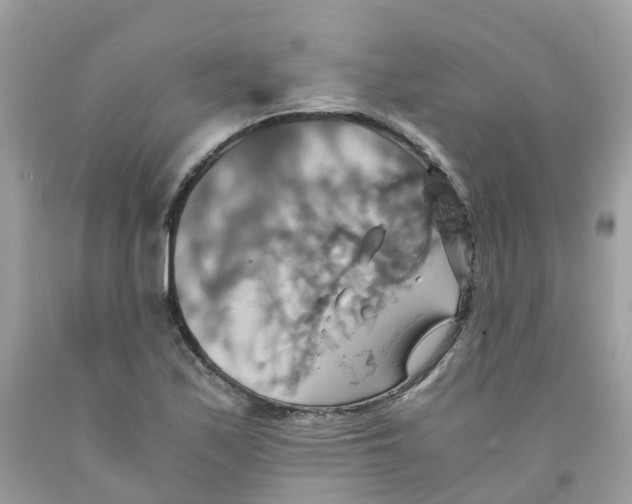 X0000091541171200709141450