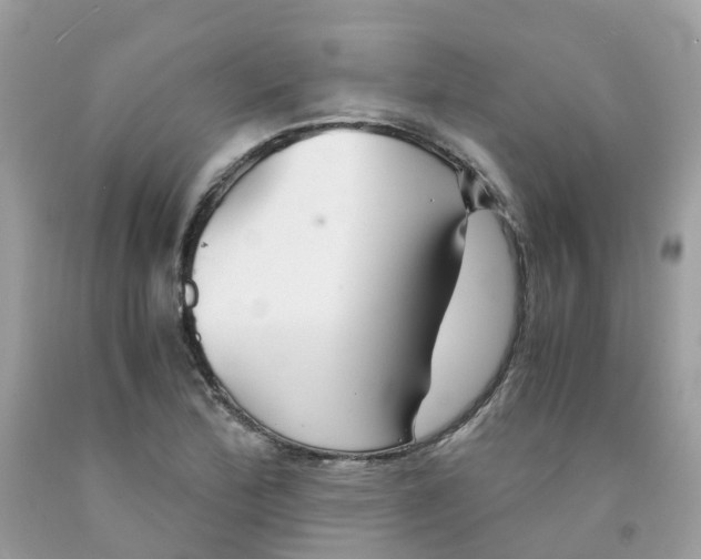 X0000091541172200709141450