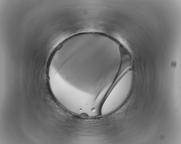 X0000091541173200709141450