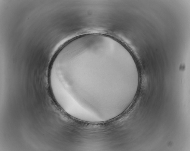 X0000091541174200709141450