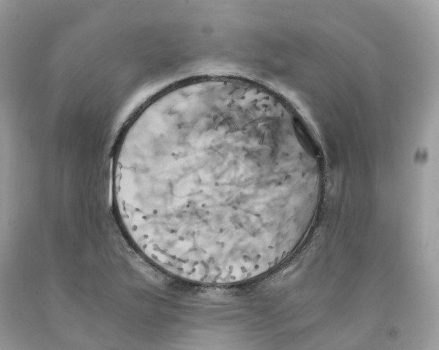 X0000091541175200709141450