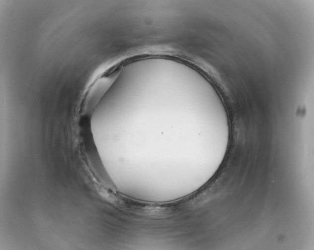 X0000091541176200709141450