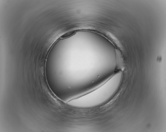 X0000091541177200709141450