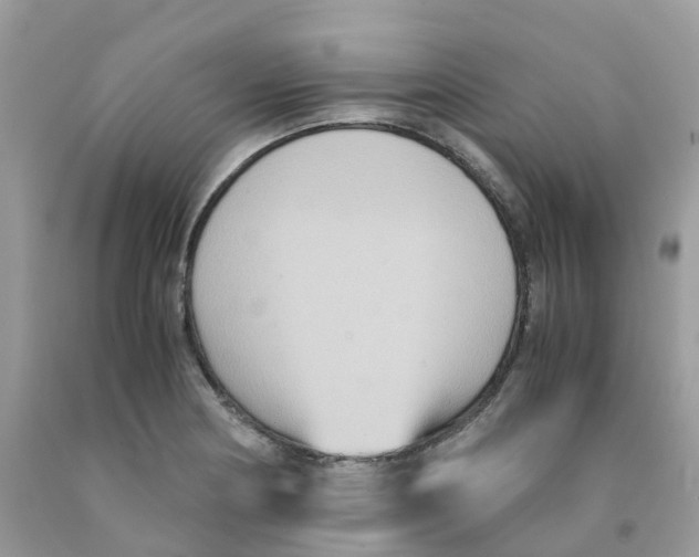 X0000091541178200709141450