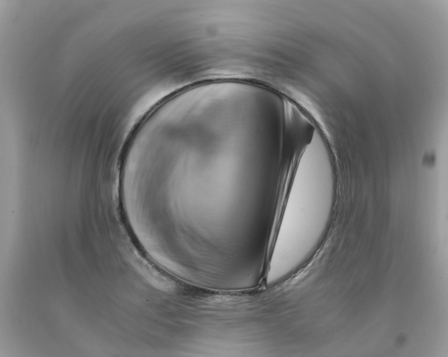 X0000091541179200709141450