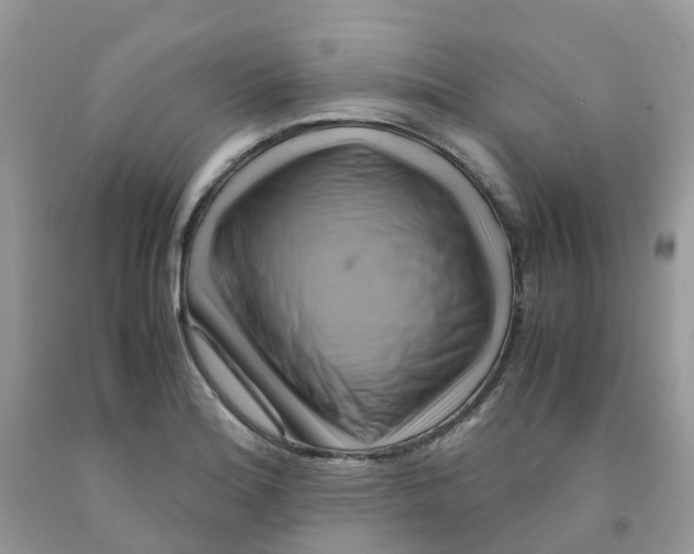 X0000091541180200709141450