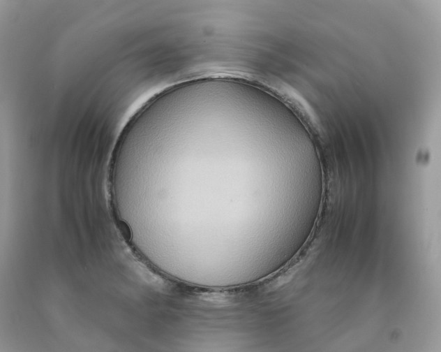 X0000091541182200709141450