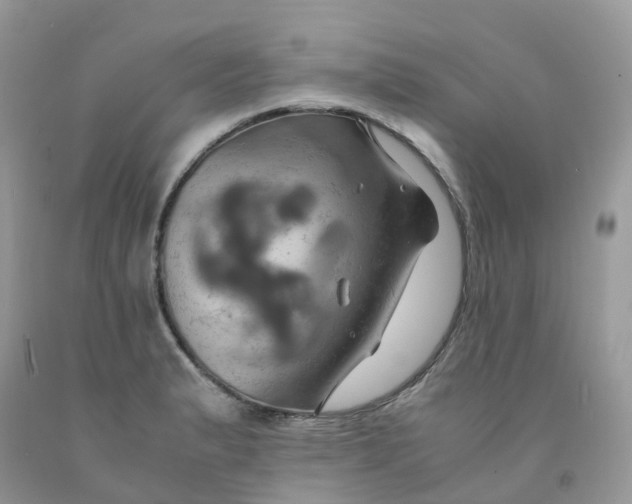 X0000091541183200709141450