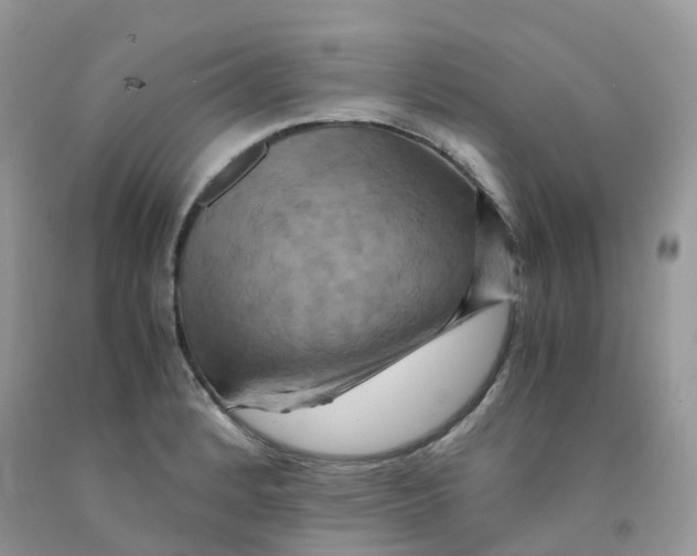 X0000091541184200709141450