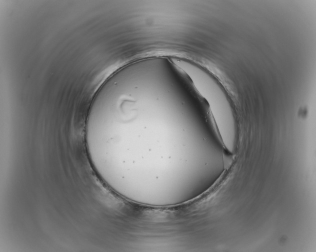 X0000091541185200709141450