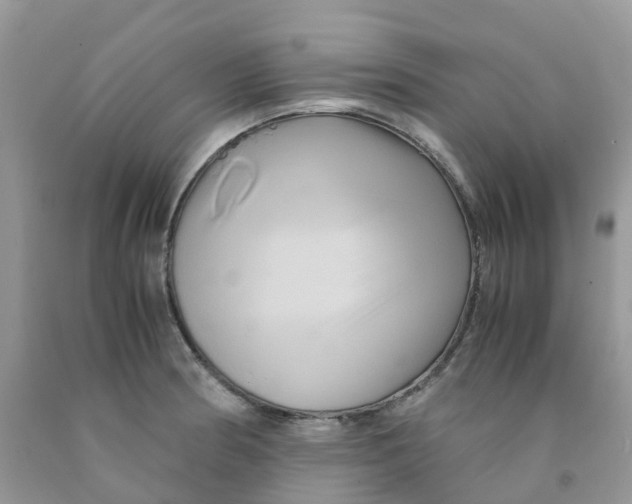 X0000091541186200709141450