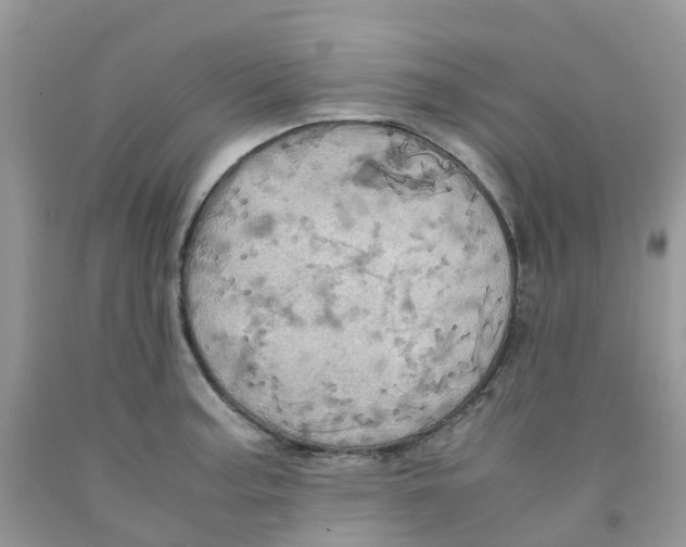 X0000091541187200709141450