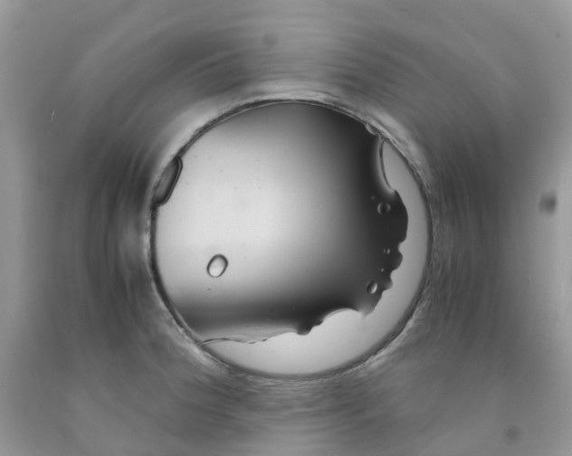 X0000091541188200709141450