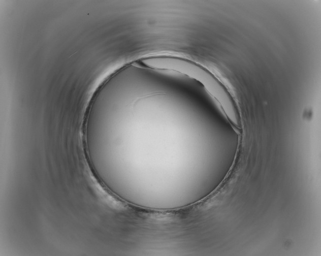 X0000091541189200709141450