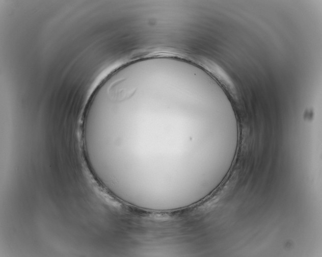 X0000091541190200709141450