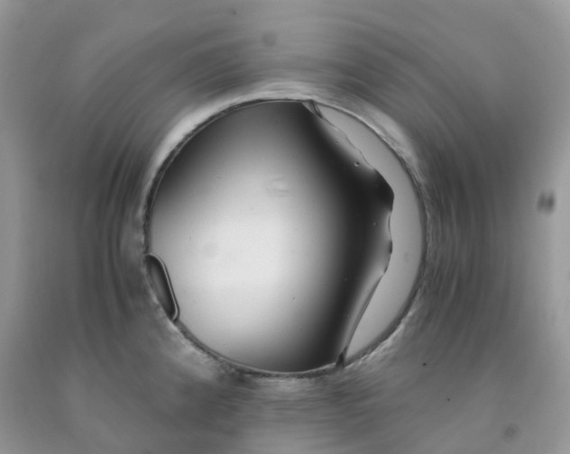 X0000091541192200709141450