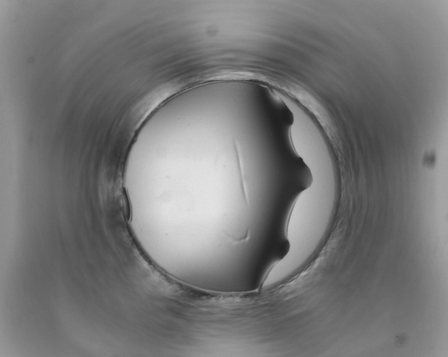 X0000091541193200709141450