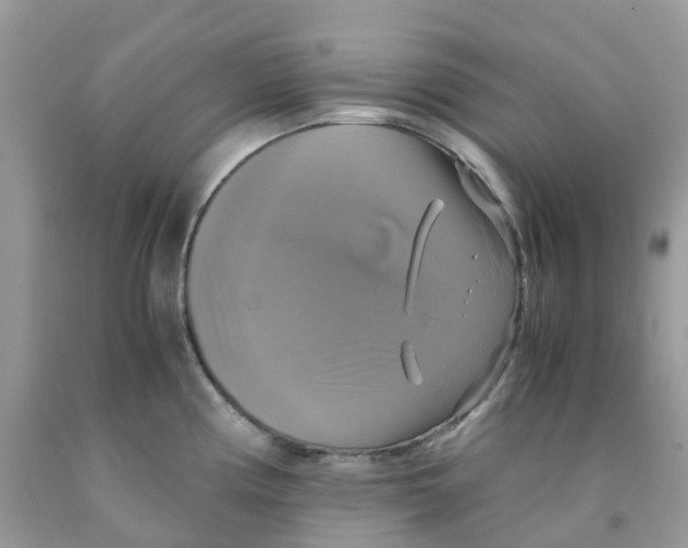 X0000091541194200709141450