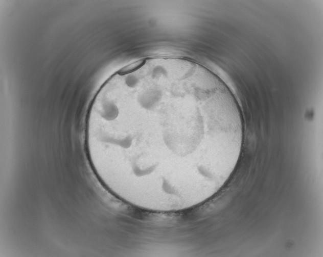 X0000091541195200709141450