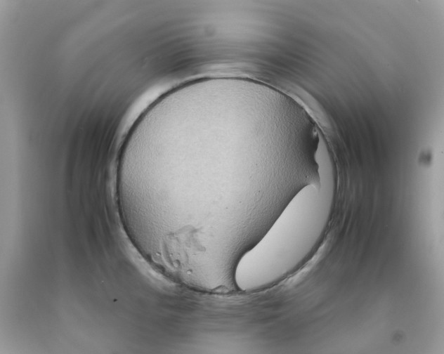 X0000091541196200709141450