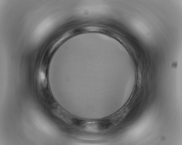 X0000091541198200709141449