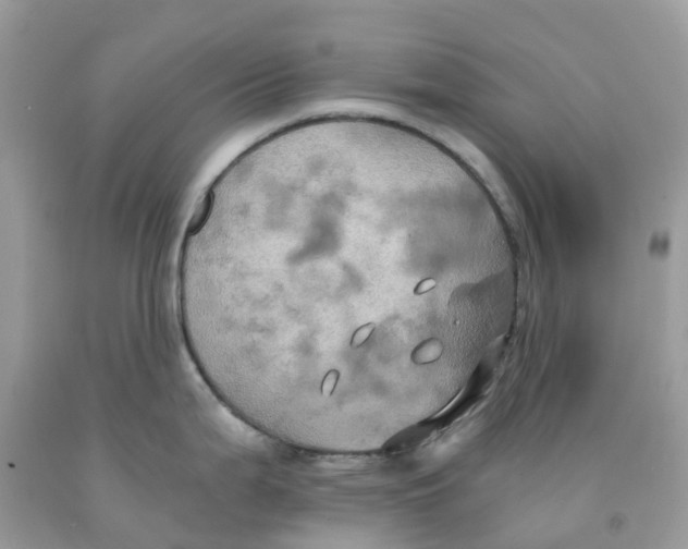 X0000091541199200709141449