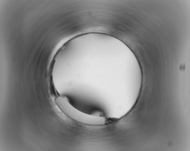 X0000091541200200709141449