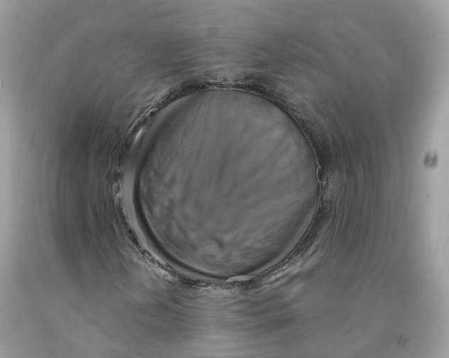 X0000091541202200709141449