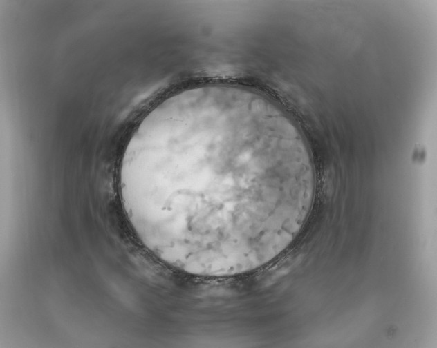 X0000091541205200709141449