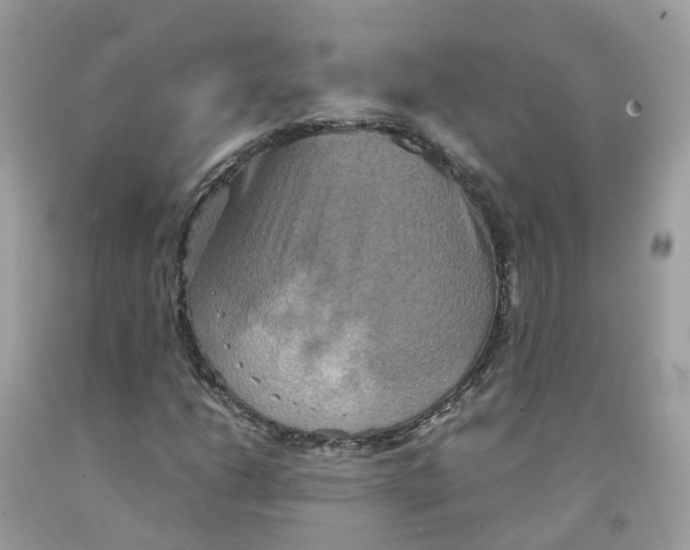 X0000091541206200709141449